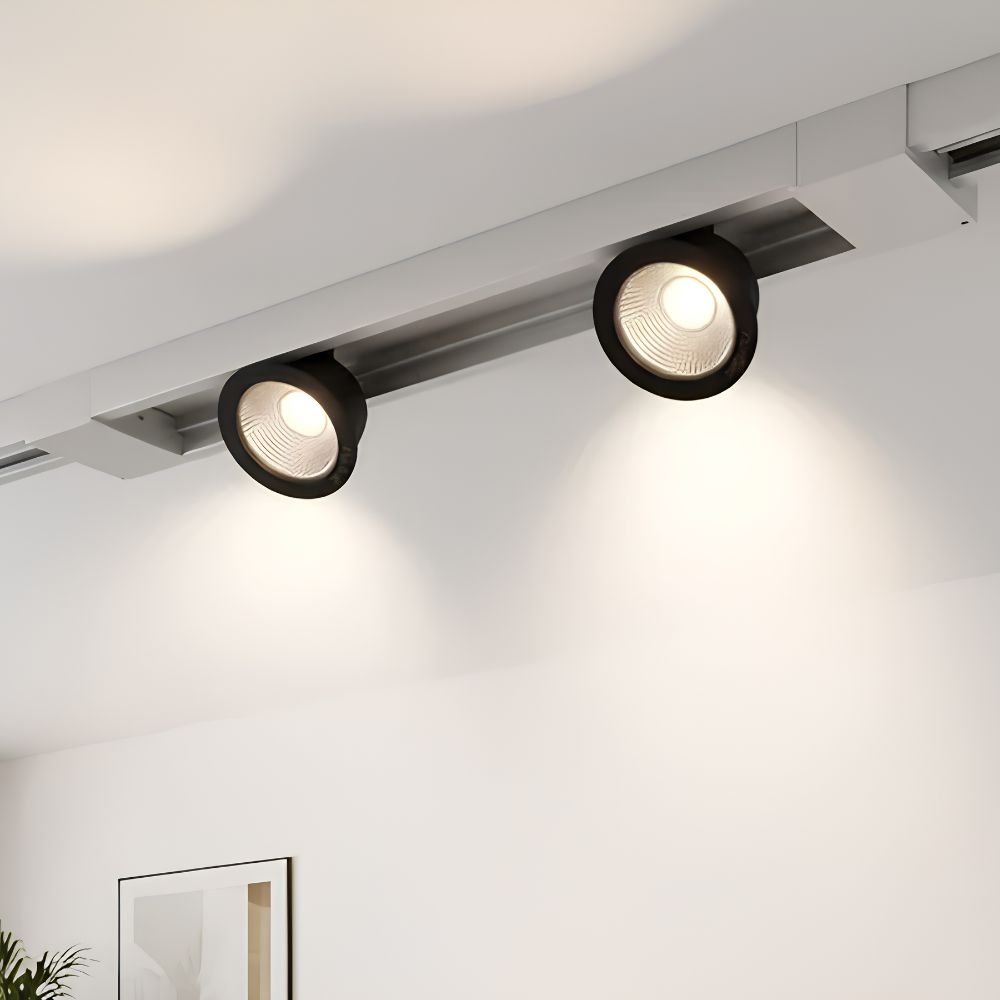 5w Spike Light